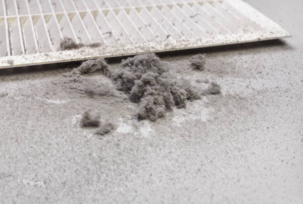 Best HVAC Maintenance and Cleaning  in Gamewell, NC