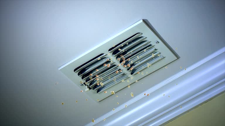 Best Best Air Duct Cleaning Company  in Gamewell, NC