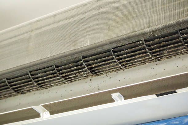 Best Home Air Vent Cleaning  in Gamewell, NC